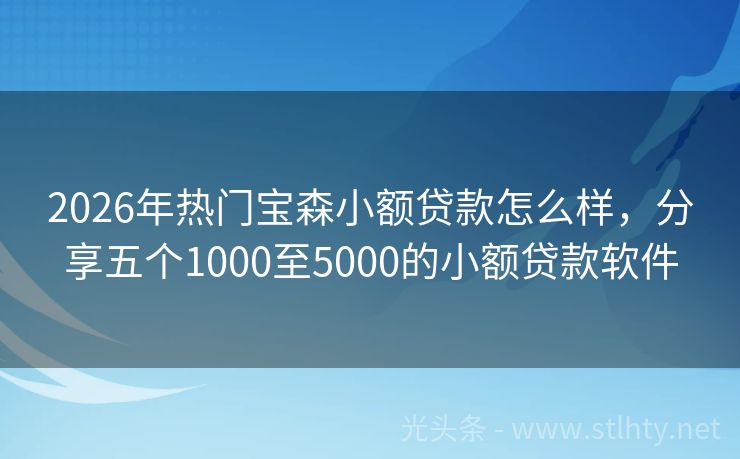 2026年热门宝森小额贷款怎么样，分享五个1000至5000的小额贷款软件