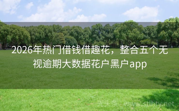 2026年热门借钱借趣花，整合五个无视逾期大数据花户黑户app
