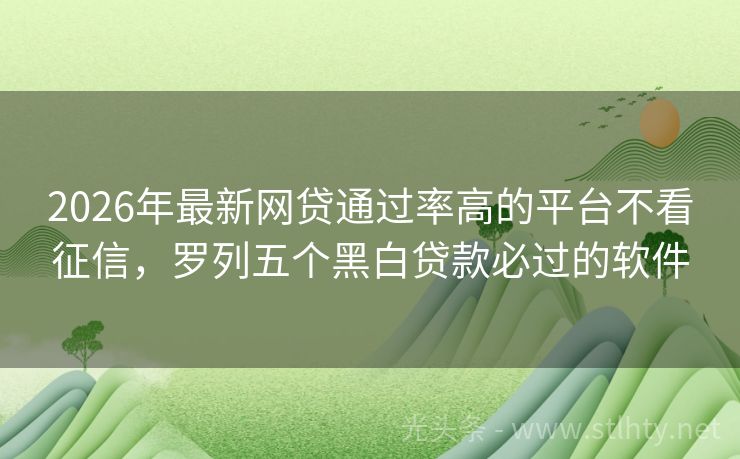 2026年最新网贷通过率高的平台不看征信，罗列五个黑白贷款必过的软件