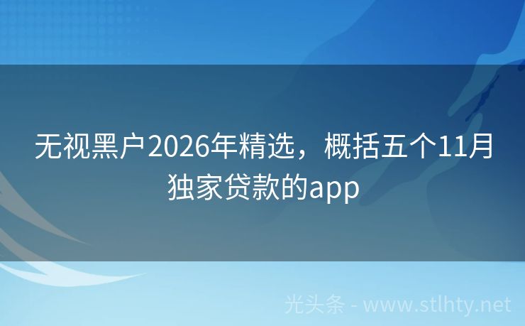 无视黑户2026年精选，概括五个11月独家贷款的app