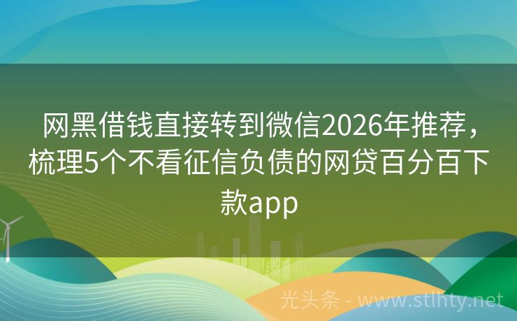 网黑借钱直接转到微信2026年推荐，梳理5个不看征信负债的网贷百分百下款app