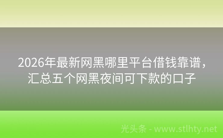 2026年最新网黑哪里平台借钱靠谱，汇总五个网黑夜间可下款的口子