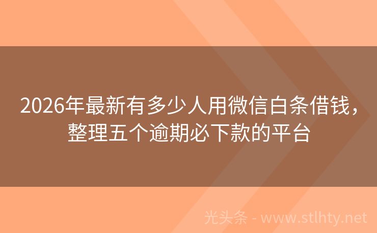 2026年最新有多少人用微信白条借钱，整理五个逾期必下款的平台