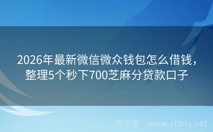 2026年最新微信微众钱包怎么借钱，整理5个秒下700芝麻分贷款口子