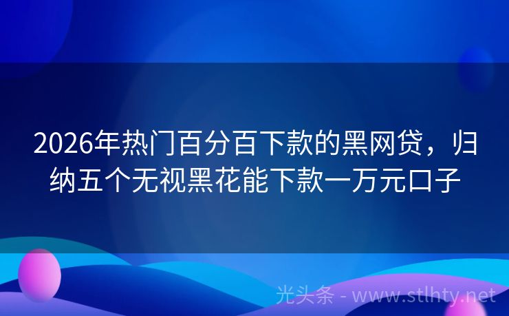 2026年热门百分百下款的黑网贷，归纳五个无视黑花能下款一万元口子