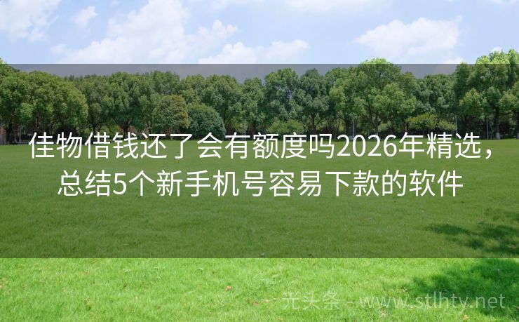 佳物借钱还了会有额度吗2026年精选，总结5个新手机号容易下款的软件