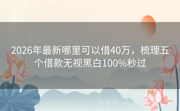 2026年最新哪里可以借40万，梳理五个借款无视黑白100%秒过