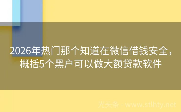 2026年热门那个知道在微信借钱安全，概括5个黑户可以做大额贷款软件