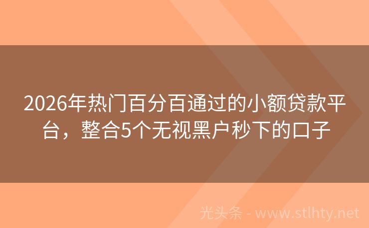 2026年热门百分百通过的小额贷款平台，整合5个无视黑户秒下的口子