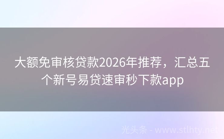 大额免审核贷款2026年推荐，汇总五个新号易贷速审秒下款app