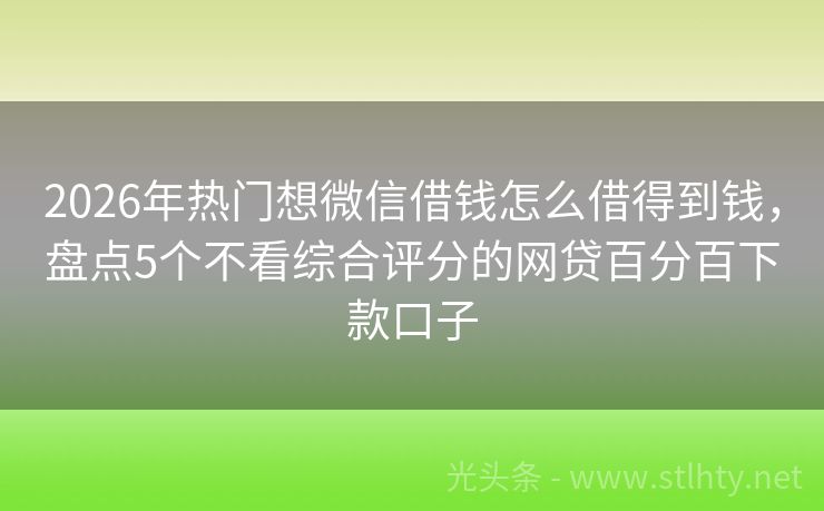 2026年热门想微信借钱怎么借得到钱，盘点5个不看综合评分的网贷百分百下款口子