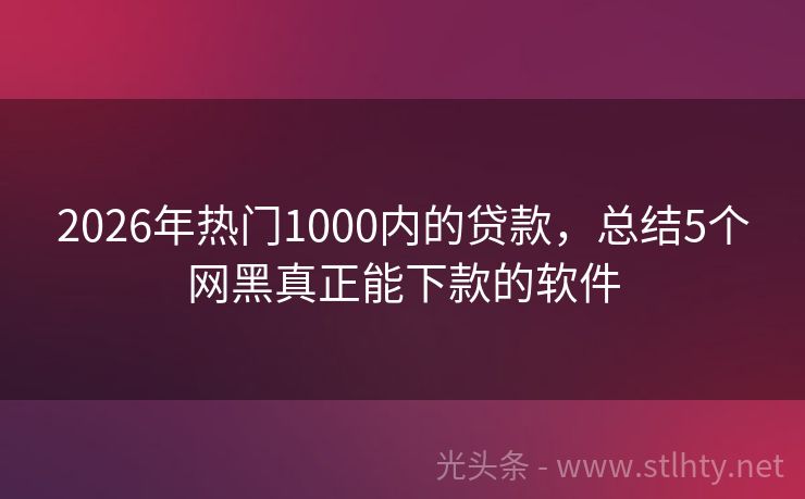 2026年热门1000内的贷款，总结5个网黑真正能下款的软件