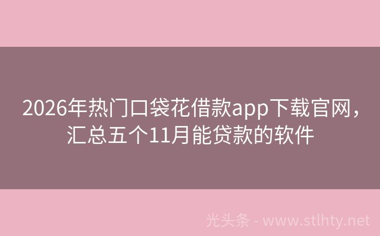 2026年热门口袋花借款app下载官网，汇总五个11月能贷款的软件