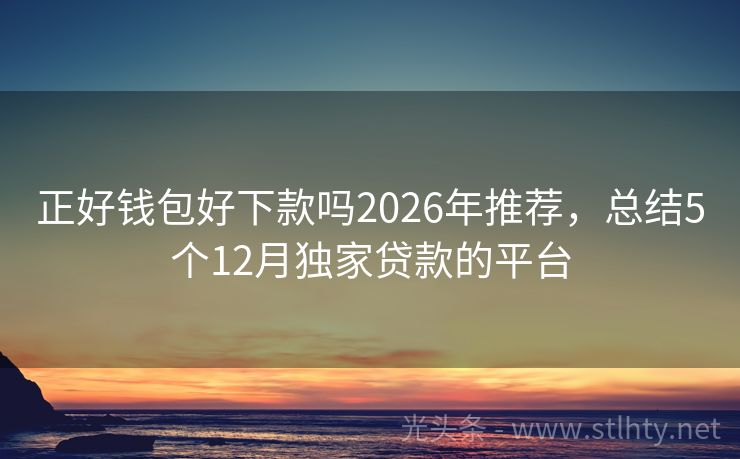 正好钱包好下款吗2026年推荐，总结5个12月独家贷款的平台