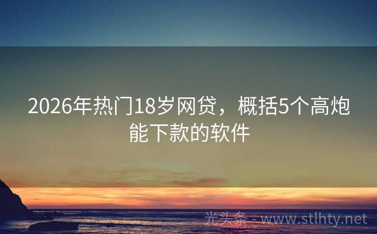 2026年热门18岁网贷，概括5个高炮能下款的软件