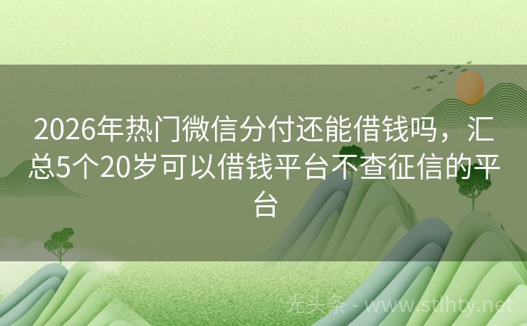 2026年热门微信分付还能借钱吗，汇总5个20岁可以借钱平台不查征信的平台