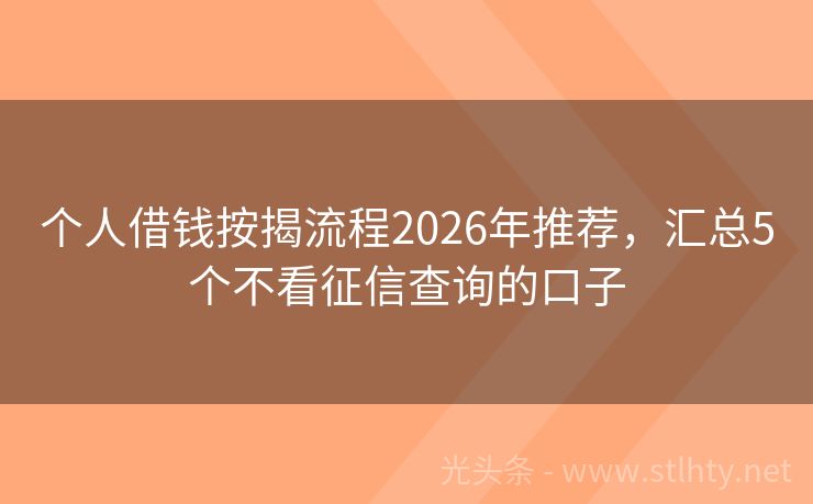 个人借钱按揭流程2026年推荐，汇总5个不看征信查询的口子