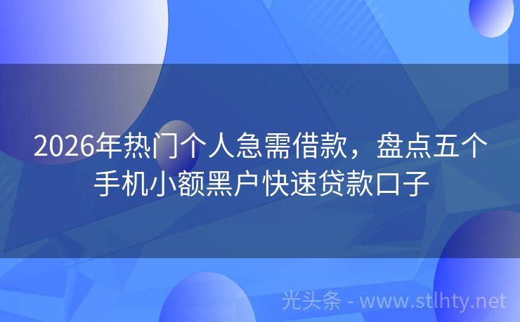 2026年热门个人急需借款，盘点五个手机小额黑户快速贷款口子