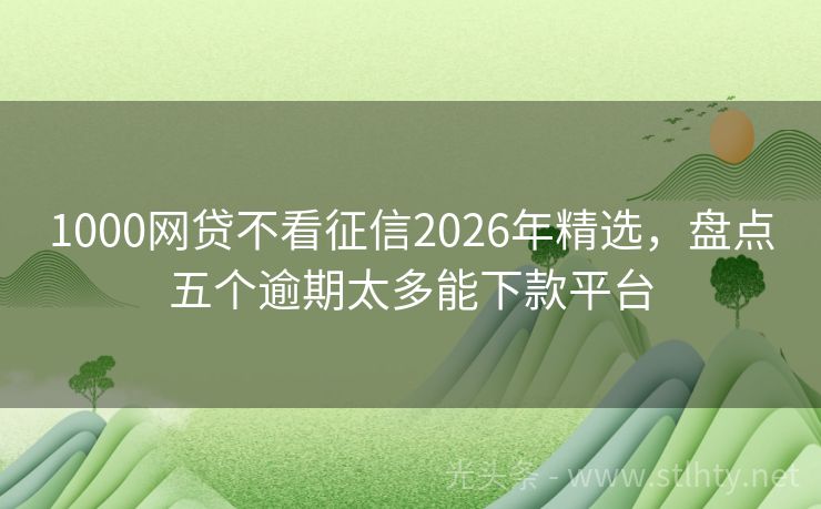 1000网贷不看征信2026年精选，盘点五个逾期太多能下款平台