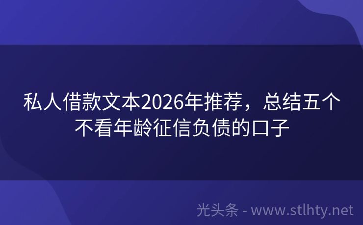 私人借款文本2026年推荐，总结五个不看年龄征信负债的口子