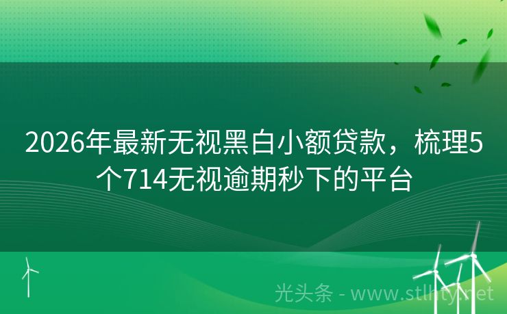 2026年最新无视黑白小额贷款，梳理5个714无视逾期秒下的平台