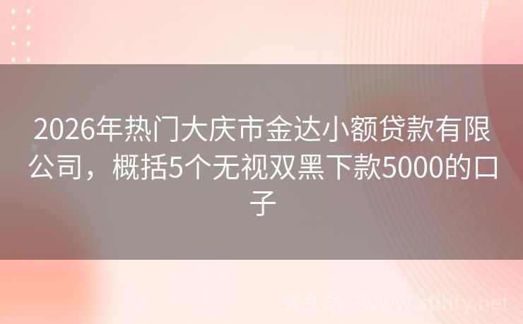2026年热门大庆市金达小额贷款有限公司，概括5个无视双黑下款5000的口子