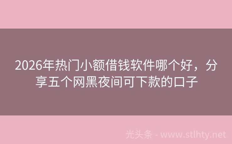 2026年热门小额借钱软件哪个好，分享五个网黑夜间可下款的口子