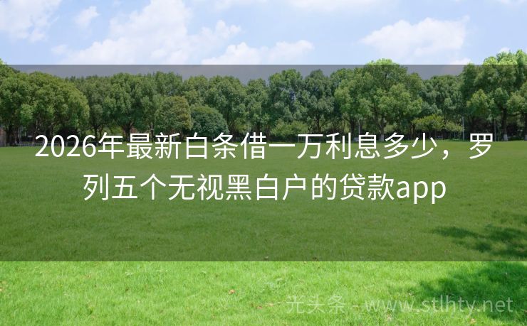 2026年最新白条借一万利息多少，罗列五个无视黑白户的贷款app