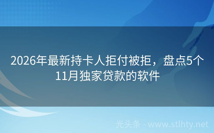 2026年最新持卡人拒付被拒，盘点5个11月独家贷款的软件