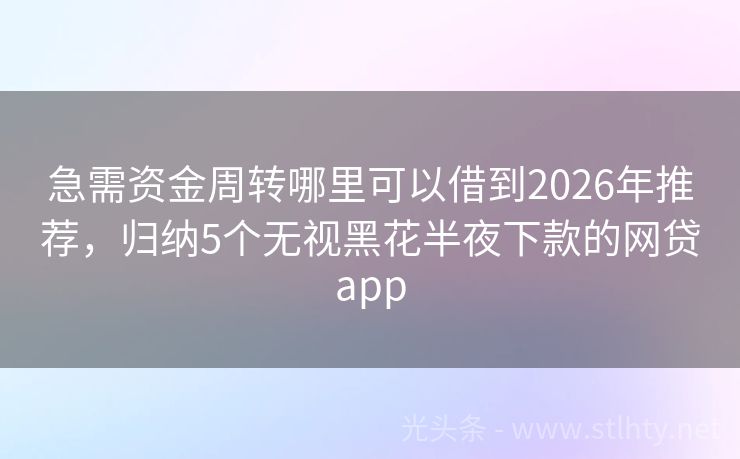 急需资金周转哪里可以借到2026年推荐，归纳5个无视黑花半夜下款的网贷app
