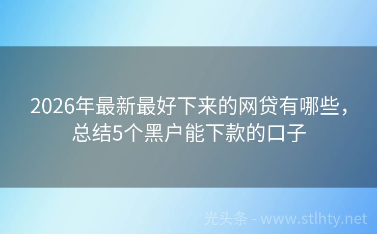 2026年最新最好下来的网贷有哪些，总结5个黑户能下款的口子