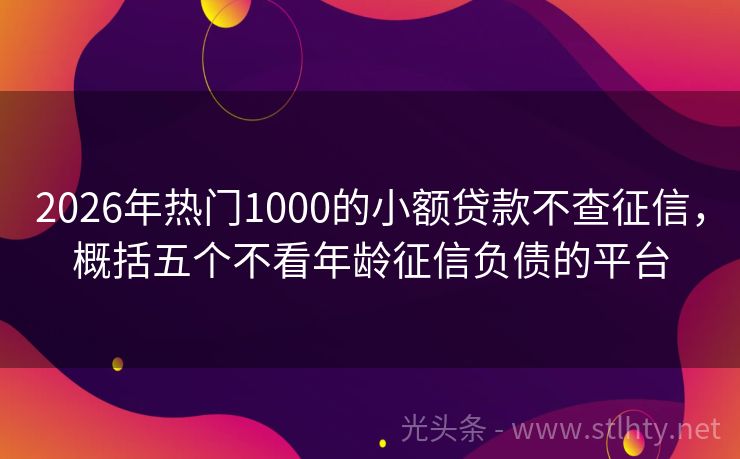 2026年热门1000的小额贷款不查征信，概括五个不看年龄征信负债的平台