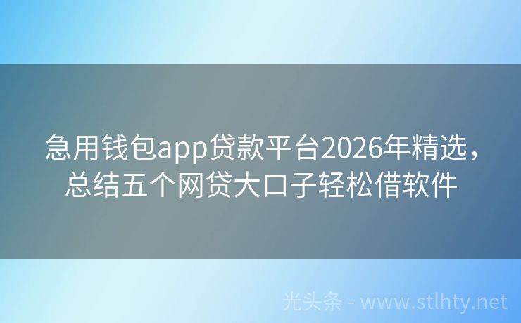 急用钱包app贷款平台2026年精选，总结五个网贷大口子轻松借软件