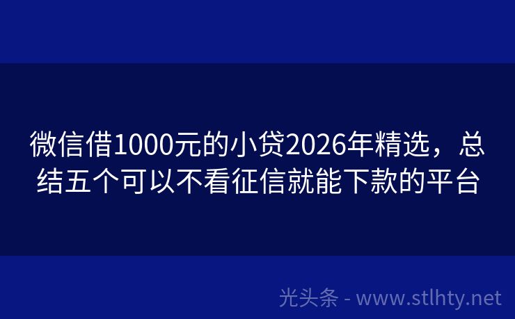 微信借1000元的小贷2026年精选，总结五个可以不看征信就能下款的平台