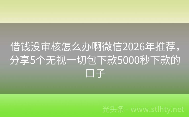 借钱没审核怎么办啊微信2026年推荐，分享5个无视一切包下款5000秒下款的口子
