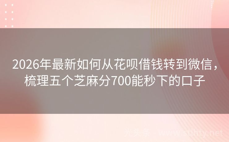2026年最新如何从花呗借钱转到微信，梳理五个芝麻分700能秒下的口子
