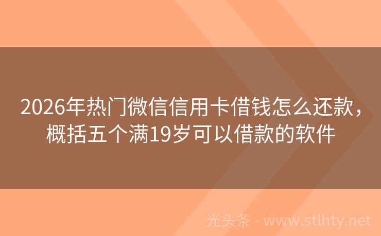 2026年热门微信信用卡借钱怎么还款，概括五个满19岁可以借款的软件