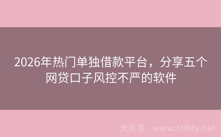 2026年热门单独借款平台，分享五个网贷口子风控不严的软件