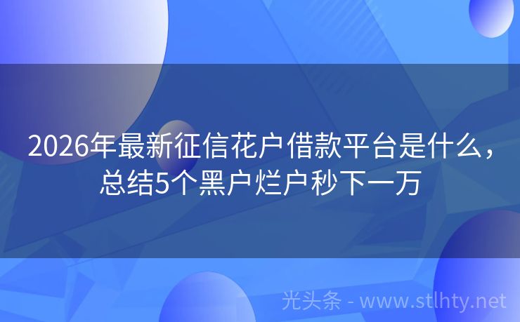 2026年最新征信花户借款平台是什么，总结5个黑户烂户秒下一万