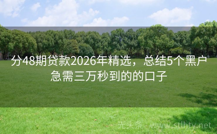 分48期贷款2026年精选，总结5个黑户急需三万秒到的的口子