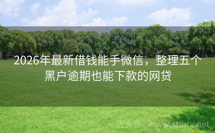 2026年最新借钱能手微信，整理五个黑户逾期也能下款的网贷