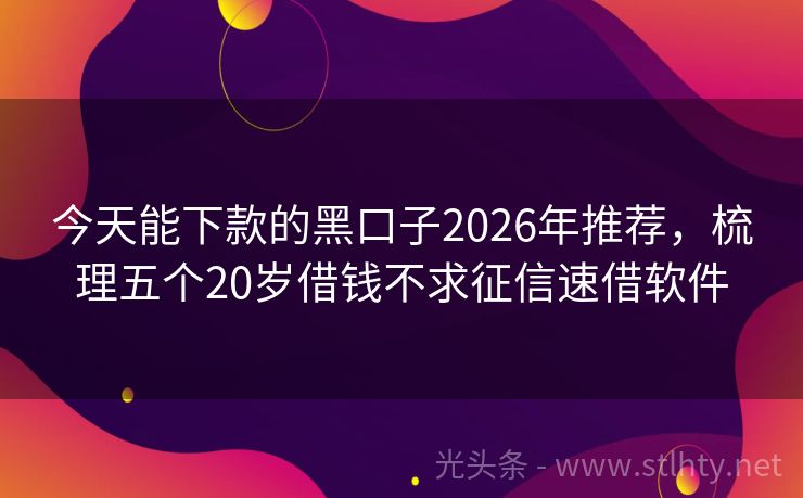 今天能下款的黑口子2026年推荐，梳理五个20岁借钱不求征信速借软件