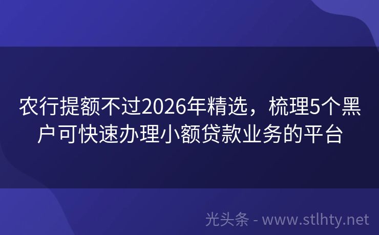 农行提额不过2026年精选，梳理5个黑户可快速办理小额贷款业务的平台