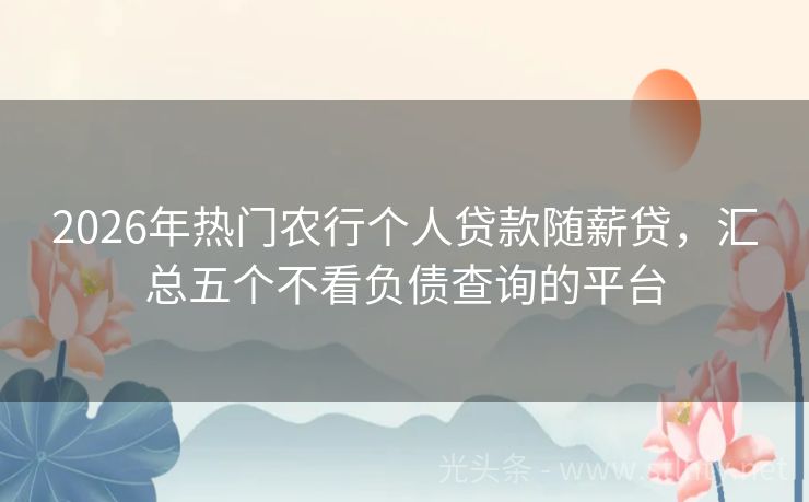 2026年热门农行个人贷款随薪贷，汇总五个不看负债查询的平台