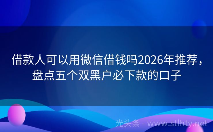 借款人可以用微信借钱吗2026年推荐，盘点五个双黑户必下款的口子