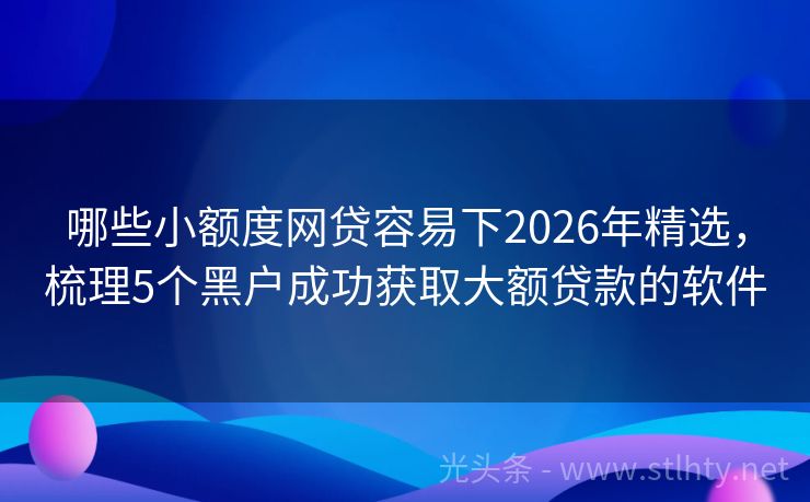 哪些小额度网贷容易下2026年精选，梳理5个黑户成功获取大额贷款的软件