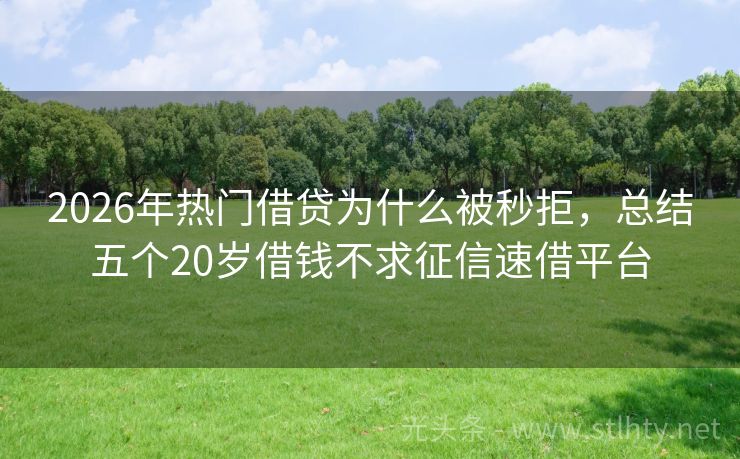 2026年热门借贷为什么被秒拒，总结五个20岁借钱不求征信速借平台