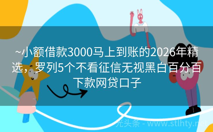 ~小额借款3000马上到账的2026年精选，罗列5个不看征信无视黑白百分百下款网贷口子