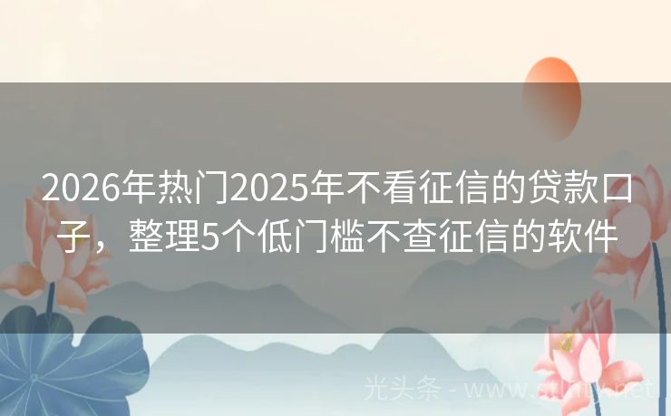 2026年热门2025年不看征信的贷款口子，整理5个低门槛不查征信的软件