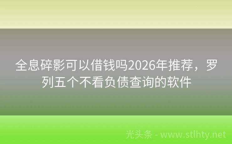 全息碎影可以借钱吗2026年推荐，罗列五个不看负债查询的软件